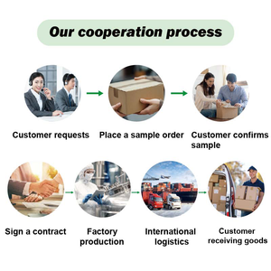 Quercetina naturale in polvere Sophora Japonica estratto 98% quercetina 95% rutina vitamina P - Product Image 4