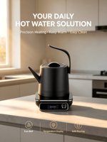 Bouilloire Électrique Haute Qualité 1200W 1.0L en Acier Inoxydable 304 avec Protection Anti-Ébullition à Sec pour la Maison
