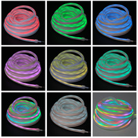 Bandes LED flexibles personnalisées en usine, RGB RGBW RGBWW, IP65, 100 m de long, pour usage extérieur, tube néon LED flexible en silicone