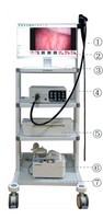 Endoscope gastrique et coloscopique portable flexible pour animaux de compagnie (chiens, chats, lapins) à prix d'usine pour clinique vétérinaire