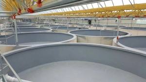 Pintura de poliurea de dos partes para estanque de peces y camarones, revestimiento impermeable - Product Image 5