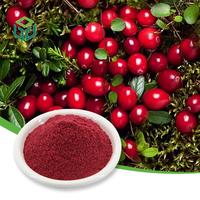 Service OEM Personnalisé : Poudre de fruits de canneberge lyophilisée instantanée de qualité alimentaire, 1 kg (baril/bouteille/canette)