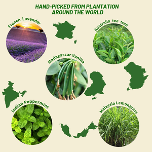 Set de Regalo de 6 Aceites Esenciales 100% Puros de Menta, Lavanda, Eucalipto y Árbol de Té, Aromaterapia Natural para Difusor y Cuidado de la Piel - Product Image 5