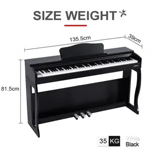 Grand Piano Digital, Piano Akustik Listrik, Organ Elektronik Tegak