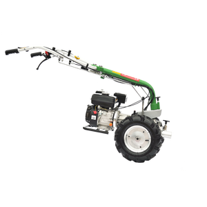 MS 360 Moteur électrique cultivateur 196 Cc Sbaraglia" - Product Image 1