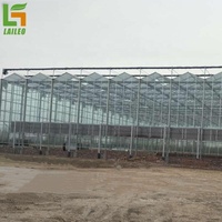 Serre en verre automatique Cueillette de fraises Serre de jardin Serre à panneaux solaires