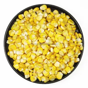 FD Vegetable Freeze Dried Sweet Corn Niblet Powder Raw Material Bulk Freeze Dried Corn