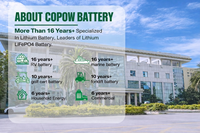 Sistem Tenaga Surya On Grid 100KW Panel Surya Dengan Baterai EMS LiFePO4 Inverter Paket Lengkap Baterai Surya Hybrid