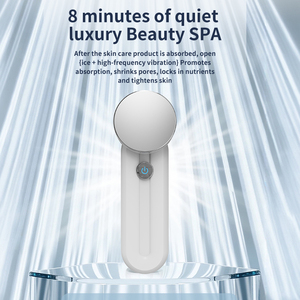 Gesichts-Eisfleck-Massagegerät, Handgehaltene Schönheitsmaschine mit Hautkühlung & Kältetherapie-Hammer - US & CN Kompatibel - Product Image 4