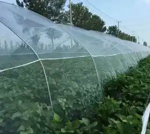 100% Virgin HDPE anti hail net UV Stabilized hail net anti hail net for fruit trees