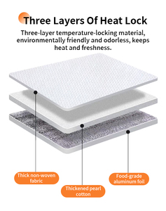 กระเป๋าเก็บความเย็นแบบผ้าไม่ทอ พิมพ์โลโก้ได้ ใช้ซ้ำได้ สำหรับใส่อาหาร ปิ้งย่าง พิซซ่า แซนวิช เค้ก - Product Image 6