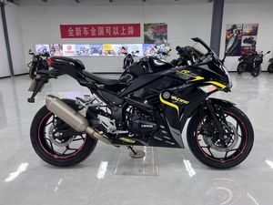 Le moteur Little Ninja 400cc présente un design classique et des performances puissantes, il convient au trajet quotidien et aux courses sur circuit. - Product Image 6