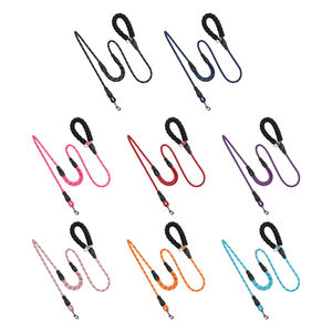 Correa Para Mascota diseñador personalizado multiusos doble ASA Nylon automático retráctil perro Correa antideslizante cuerda de alta calidad - Product Image 2