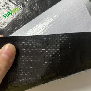 Film de <span class=keywords><strong>serre</strong></span> tissé noir et blanc en HDPE avec protection <span class=keywords><strong>anti</strong></span>-<span class=keywords><strong>UV</strong></span>, bâche imperméable <span class=keywords><strong>pour</strong></span> la plantation - Product Image 1