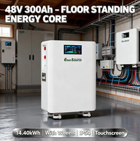 Baterai Lithium Ion 14kWh 48V 300Ah untuk Sistem Surya All in One yang Dipasang di Dinding dengan Roda