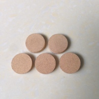 Diskus Filter Sintered Bubuk Tembaga untuk Laboratorium dan Penelitian Ilmiah