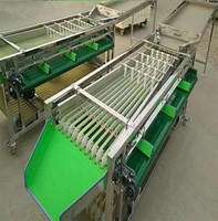 Automatische Appelsortering Aardappeldata Bosbessen Fruit Sorteermachine