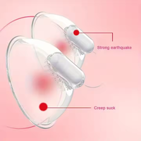 Weibliches Sexspielzeug Brustmassage-Vibrator Fernbedienung Dual-Nippel-Massagegerät Klitoris-Stimulator 10 Frequenzen Saugstimulator