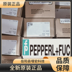 โมดูลเอาต์พุตกันระเบิด Pepperl+Fuchs Safety Barrier รุ่น KFD0-SD2-EX1.1045 สำหรับใช้งานในอุตสาหกรรม - Product Image 3