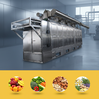 Machine automatique de séchage à bande de circulation d'air chaud Jujube Wolfberry Raisin Pruneaux Abricot Équipement de séchage