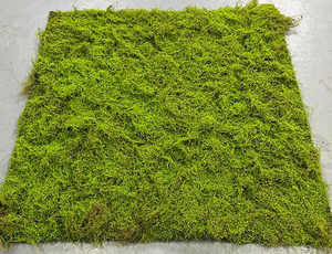 Tappeto di erba artificiale artificiale all'ingrosso tappeto di erba artificiale di muschio nero finto tappeto erboso tappeto erboso artificiale verde parete arte - Product Image 5