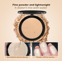 Fond de Teint et Poudre Visage Compacte Maquillage pour Femme Marque Blanche