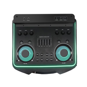 Altavoz Profesional Activo para Exteriores con Bluetooth, Luces RGB, Manos Libres, para DJ y Karaoke, con Ruedas, Doble Woofer de 12 Pulgadas y Supergraves - Product Image 6