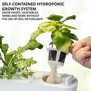 Kit de culture hydroponique pour jardin intérieur, système hydroponique, système de culture intérieur - Product Image 3