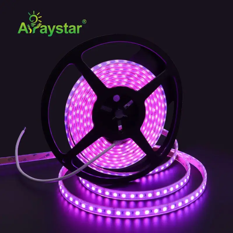 Arraystarled ไฟเส้น LED กันน้ำ4 In 1,แถบไฟอ่อน RGBW RGBWW ขนาด5050 RGB RGBW ขนาด24V 84 LED/M ความหนาแน่นสูง