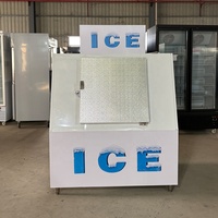 Congélateur à glace en sacs Mr Frio 304SS avec finition résistante à la corrosion, éclairage LED interne, coupe-vent, étanche, pour extérieur