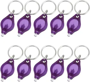 LINLI Wholesale Mini Purple LED Flashlight Keychain Plastic Portable LED Key Holder Battery Power Small Keyring With UV Light