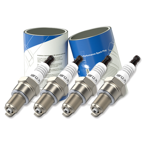 ผู้ผลิตหัวเทียนเครื่องกำเนิดไฟฟ้าที่ดีที่สุด R8F12-79 เหมาะสำหรับอะไหล่เครื่องยนต์จุดระเบิดอุตสาหกรรม MAN Liebherr MTU - Product Image 1