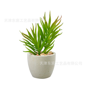 Combinación de bonsáis de suculentas artificiales, mini plantas verdes para decoración del hogar y la oficina, accesorios de plástico para interiores y exteriores, para bodas. - Product Image 5