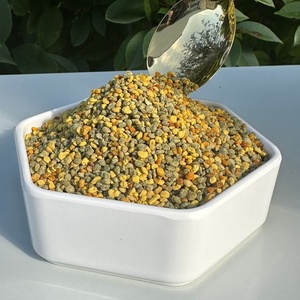 Polen de Abeja Mixto de Grado Alimenticio, 20% de Proteína, 40 Brix, Venta al Por Mayor a Granel, Bolsa de 20 kg - Product Image 6