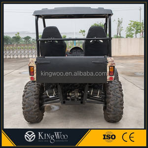 5000 와트 전기 UTV 해변 버기 가격 두 부드러운 좌석 UTV 판매 - Product Image 6