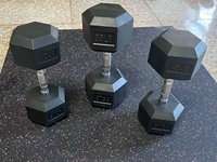 Haltère hexagonal fixe en fonte recouvert de vinyle pour musculation, équipement de gym, vente en gros, offre spéciale usine