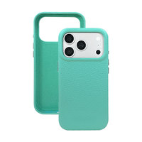 Coque iPhone Lucu pour iPhone 15 17 Pro Max, coque de téléphone personnalisée, mignonne, fine, magnétique, compatible avec la charge sans fil