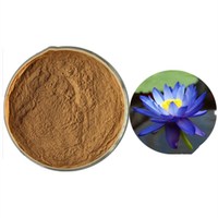 100% naturel Nymphaea Caerulea extrait de fleur de Lotus bleu poudre de Lotus bleu