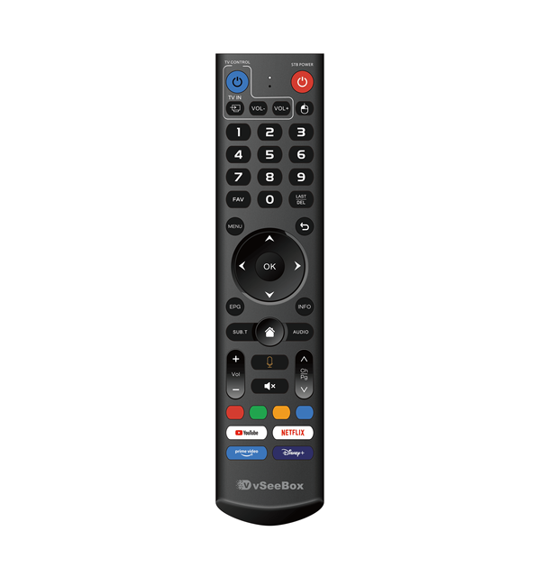 2025 latest Voice Remote Control for V6 Pro Smart Remote Control