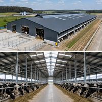 Bâtiment Agricole en Acier Préfabriqué Personnalisé, Hangar pour Bovins et Ovins, Étable pour l'Élevage de Tous Types de Bétail, Grange Agricole, Abri pour Animaux