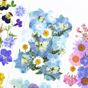 Kit <span class=keywords><strong>de</strong></span> Manualidades con Flores Prensadas Naturales Mixtas, Flores Secas Reales para Resina Epoxi, Decoración <span class=keywords><strong>de</strong></span> Uñas, Manualidades, Creación <span class=keywords><strong>de</strong></span> Adornos - Product Image 4