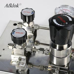 WL400 Régulateurs de pression en acier inoxydable 316L Panneau de contrôle de gaz avec diaphragme de jauge pour azote gazeux ultra-pur - Product Image 4