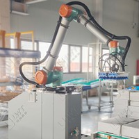 Robot de palettisation haute vitesse LWT pour les pretzels en boîte, les chips de maïs, les biscuits fins et les pop-corn, ligne d'emballage pour les aliments en conserve