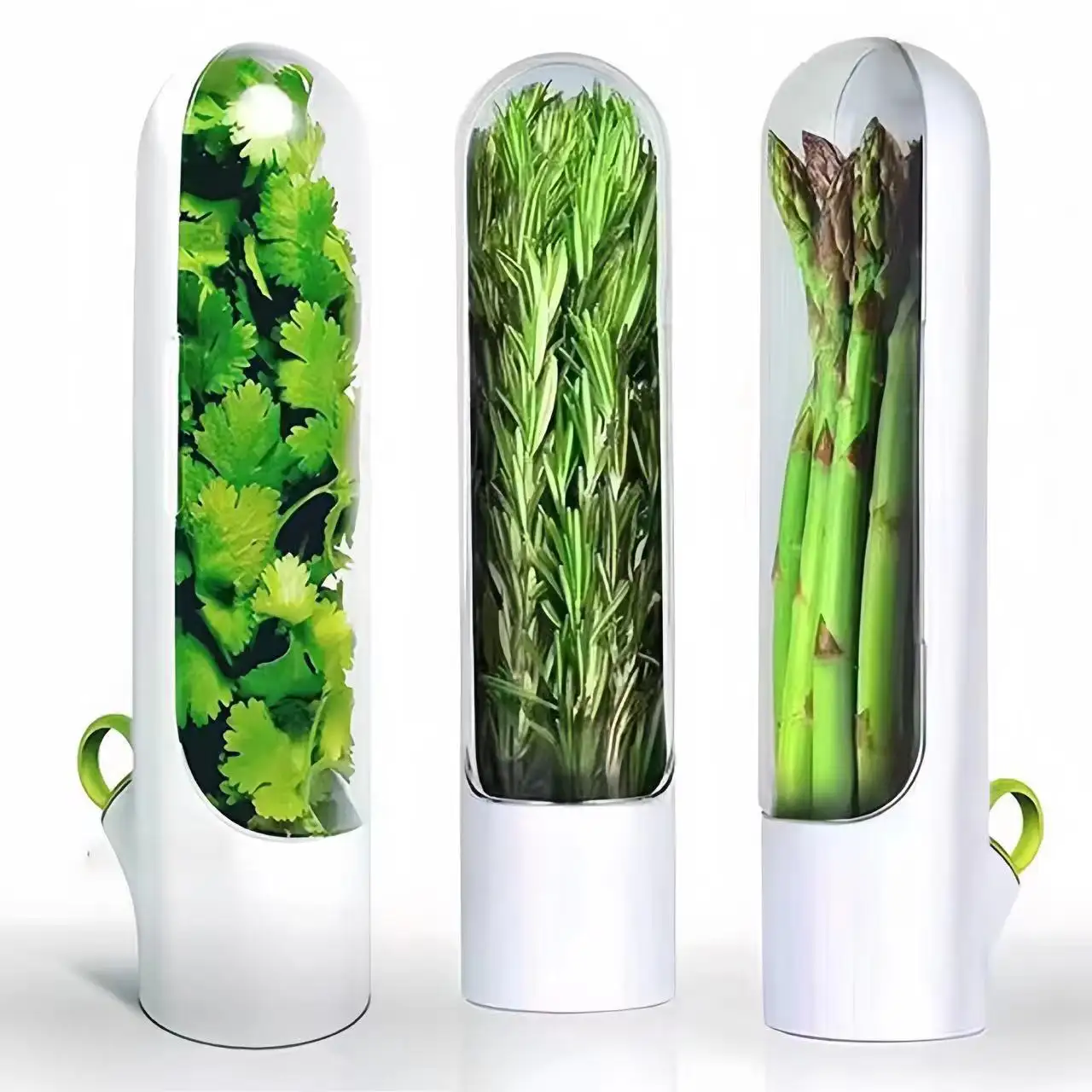 नया उत्पाद 2024 हर्ब स्वाद भंडारण कंटेनर ताजगी हर्ब कीपर पारदर्शी रेफ्रिजरेटर हर्ब सेवर
