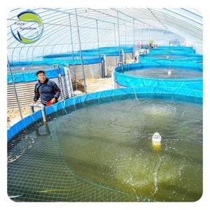 Bacs à poissons bon marché hors sol, aquaculture, grand bassin à poissons en bâche, réservoir d'élevage de poissons - Product Image 3