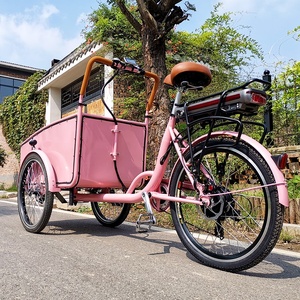 <span class=keywords><strong>Tricycle</strong></span> pour <span class=keywords><strong>adultes</strong></span> en promotion, directement de l'usine, <span class=keywords><strong>tricycle</strong></span> cargo familial avec ceintures de sécurité pour enfants - Product Image 2