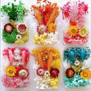 I76 Dried Flower for Resin Aromatherapy Candle DIY Material Eternal Dry Flower Combination Pack Decorative