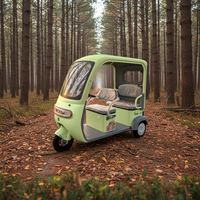 Tricycle électrique très économique, véhicule de loisirs et de déplacement quotidien, idéal pour le shopping, la récupération des enfants et l'utilisation familiale