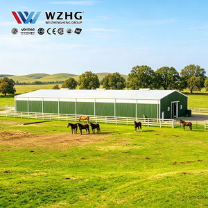 Arena de entrenamiento para caballos de acero de estructura transparente con estructura prefabricada y gran espacio interior de entrenamiento - Product Image 1