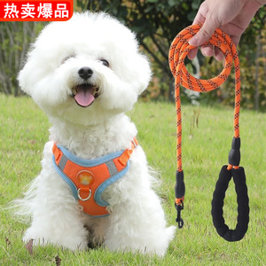 Harnais pour chien de type gilet avec laisse pour petites races, réglable, respirant, rembourré, sangle de poitrine en nylon réfléchissant pour Teddy Bichon - Product Image 1